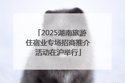 2025湖南旅游住宿业专场招商推介活动在沪举行