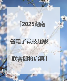2025湖南省电子竞技超级联赛即将启幕
