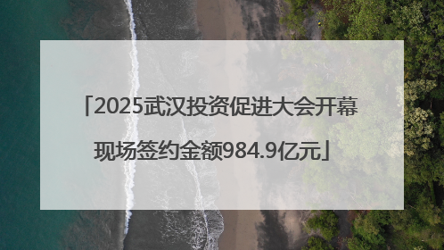 2025武汉投资促进大会开幕 现场签约金额984.9亿元