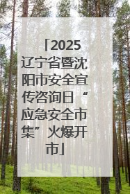2025辽宁省暨沈阳市安全宣传咨询日“应急安全市集”火爆开市