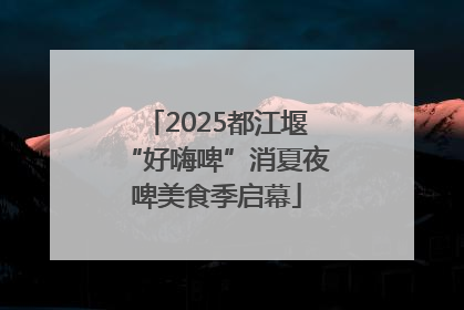 2025都江堰“好嗨啤”消夏夜啤美食季启幕