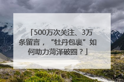 500万次关注、3万条留言，“牡丹包裹”如何助力菏泽破圈？