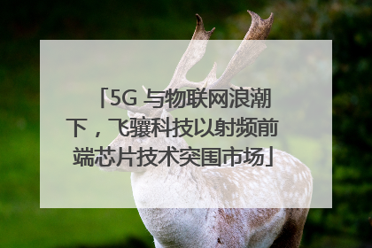 5G 与物联网浪潮下，飞骧科技以射频前端芯片技术突围市场