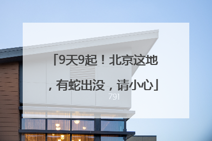 9天9起！北京这地，有蛇出没，请小心