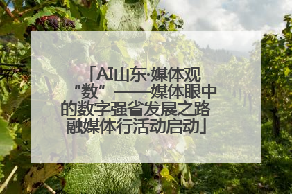 AI山东·媒体观“数”——媒体眼中的数字强省发展之路融媒体行活动启动